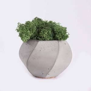 plant4-free-img